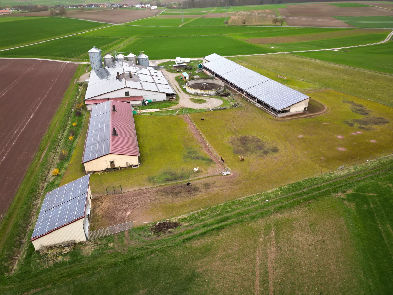 DJI_0052