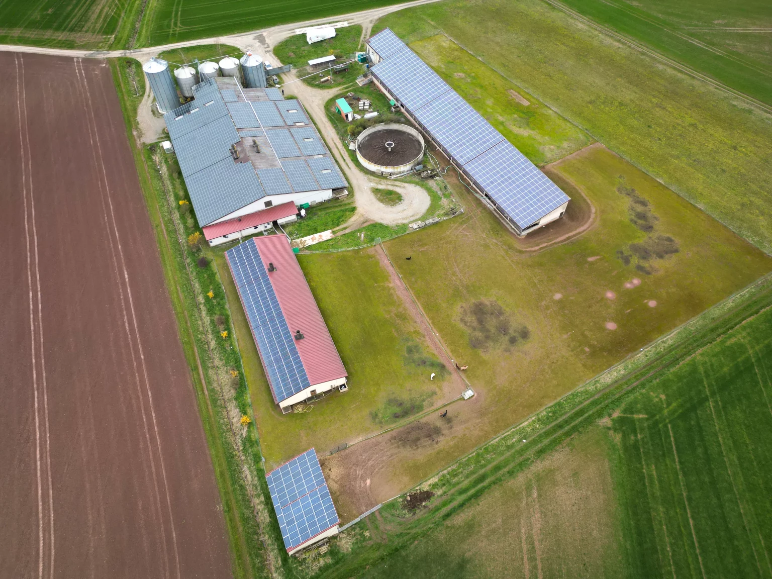 DJI_0058